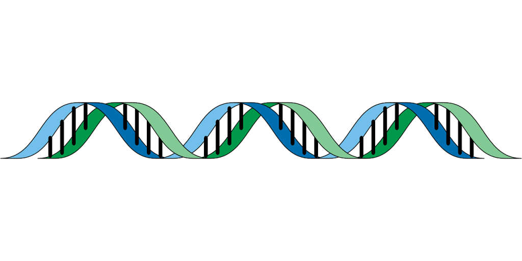 What Happens To An SMSF If A Member Dies?